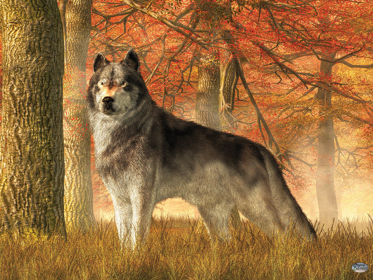 A Wolf In Autumn