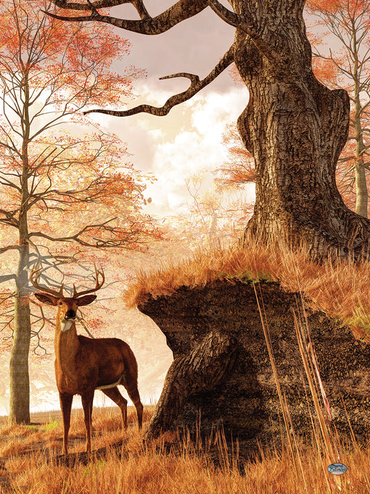 Autumn Buck Canvas Art