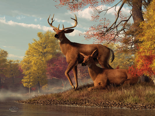 Deer On An Autumn Lakeshore Canvas Art