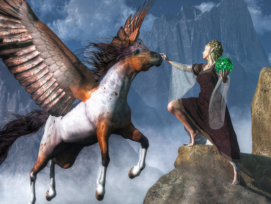 Elf Summoning A Pegasus Canvas Art