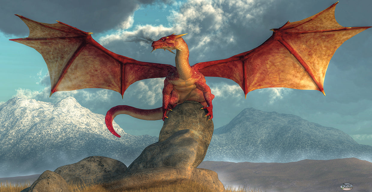 Fire Dragon