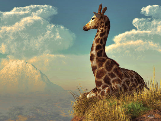 Giraffe And Distant Mountain Canvas Art