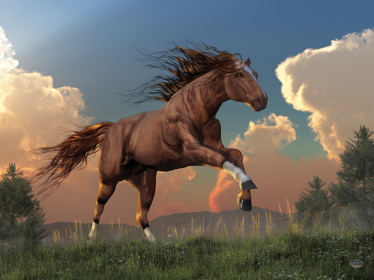 Running Free