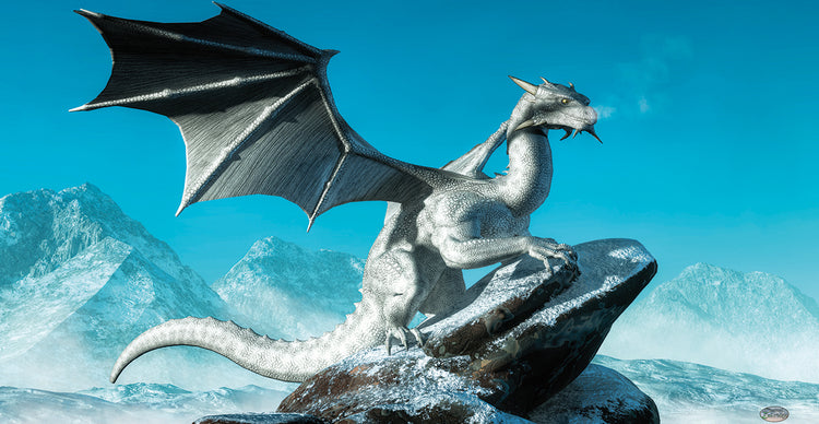 Winter Dragon
