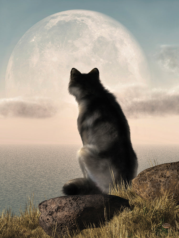 Wolf Watching The Moonrise