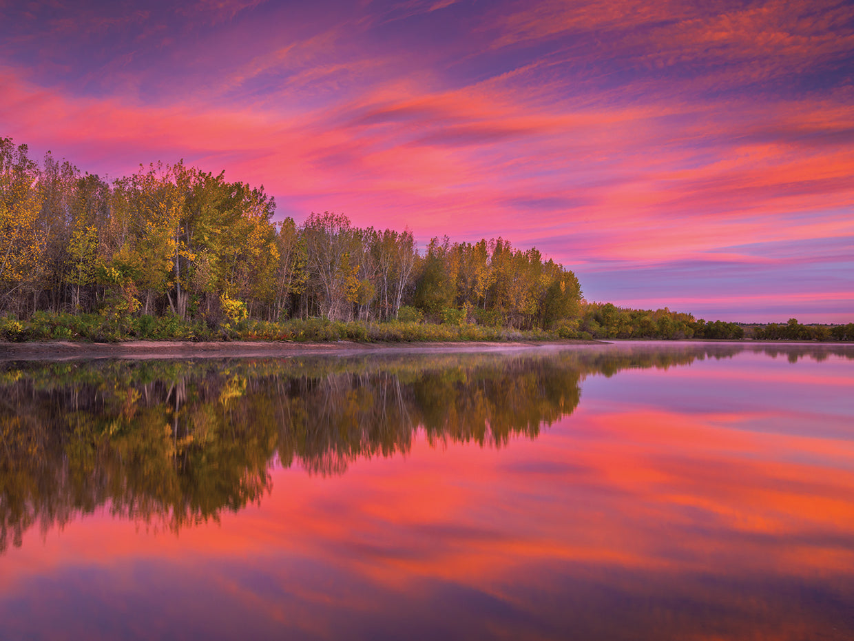Autumn Splendor