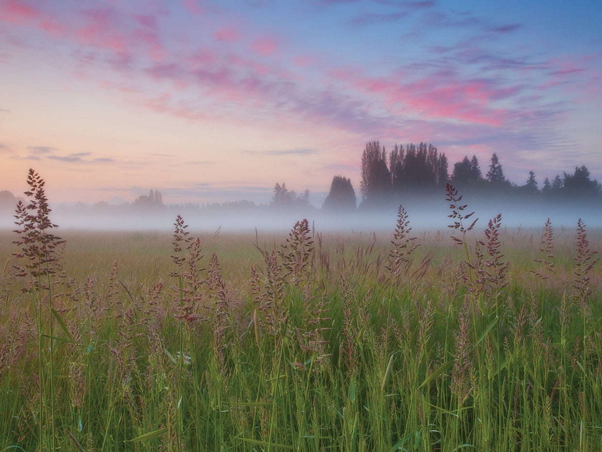 Battle Ground Sunrise