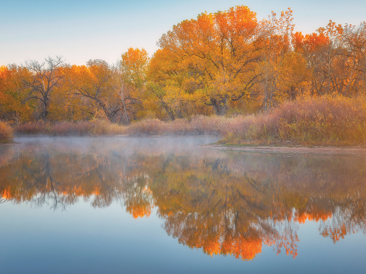 Autumn's Reflection