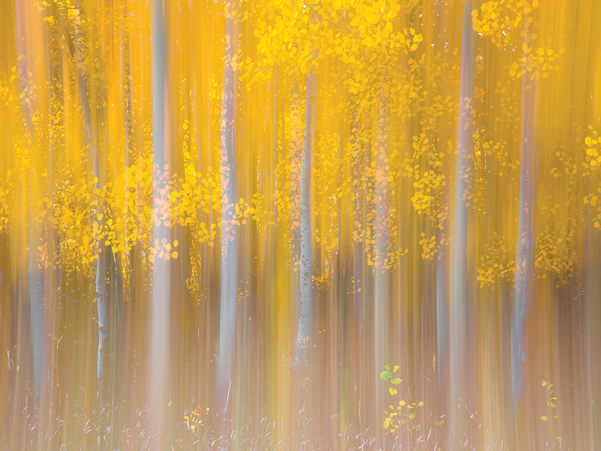 Changing Seasons