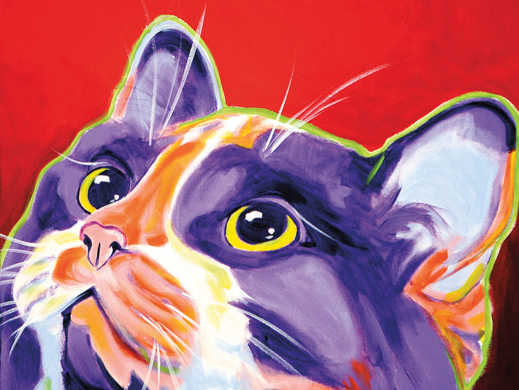Gato issa Lienzo