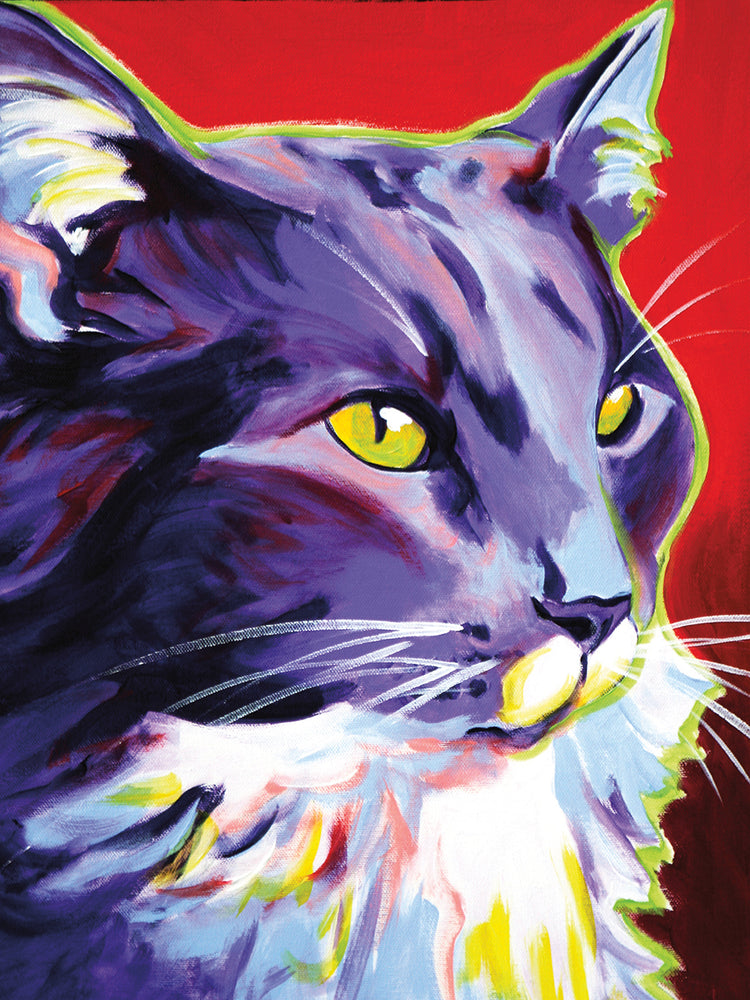 Gato Kelsier Lienzo