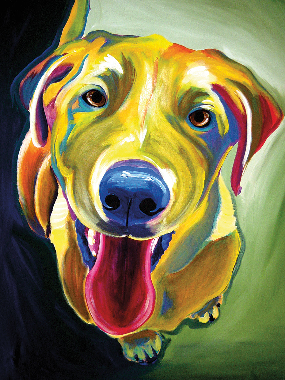 spencer Lienzo