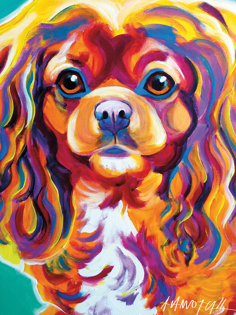 King Charles Spaniel Boonda