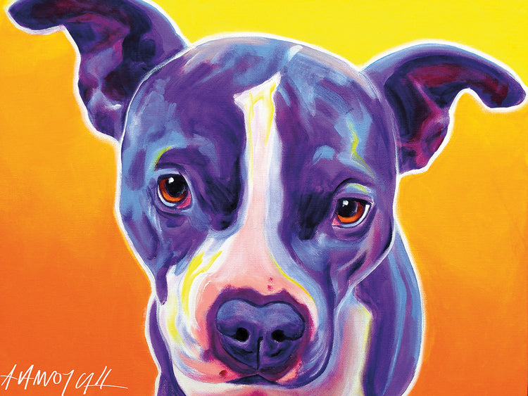 pitbull sadie Lienzo