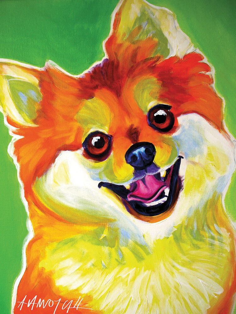 Pomeranian Tiger
