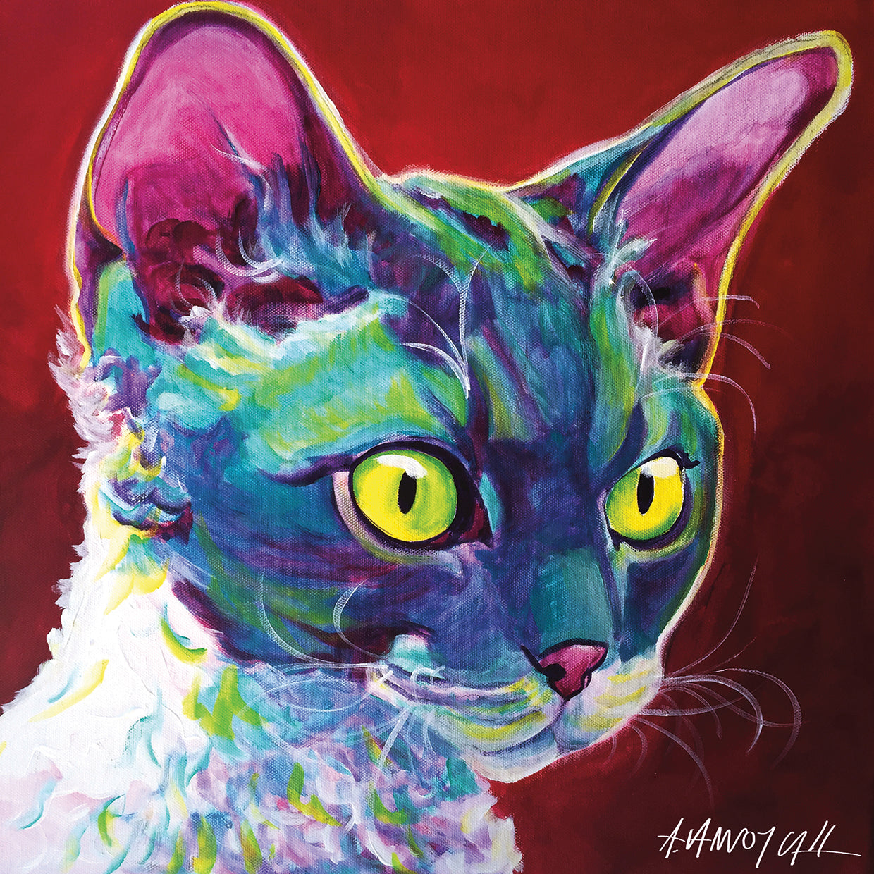 Cat - Devon Rex