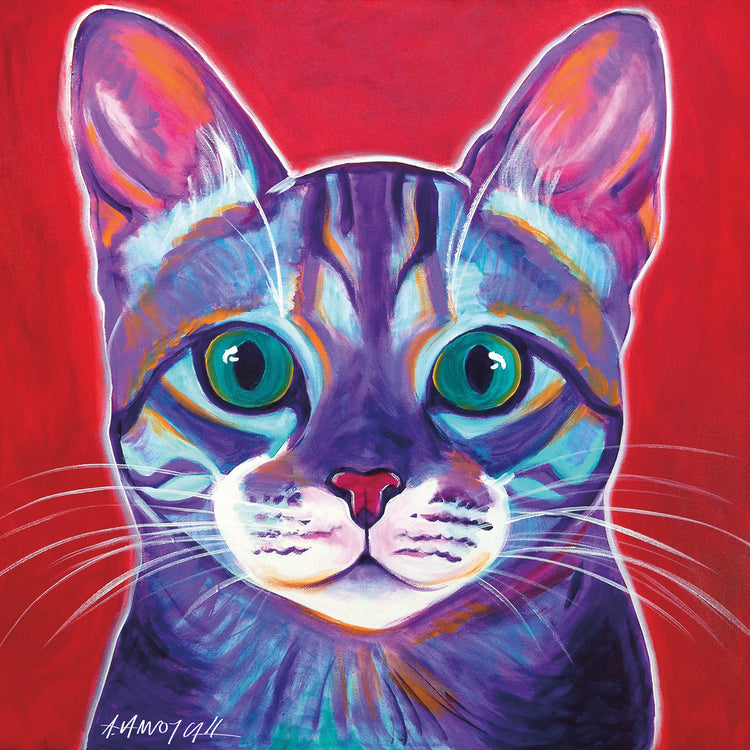 Gato - Sorpresa Lienzo