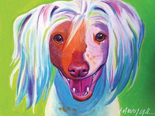 Chinese Crested - Grin