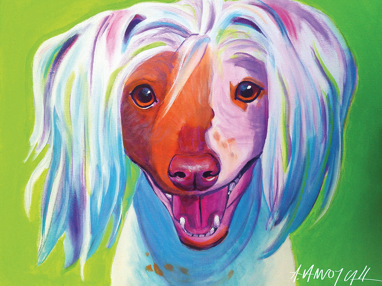 Crestado chino - Sonrisa Lienzo