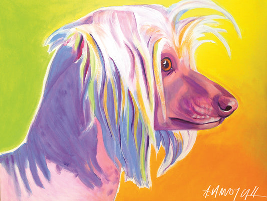 Chinese Crested - Profile