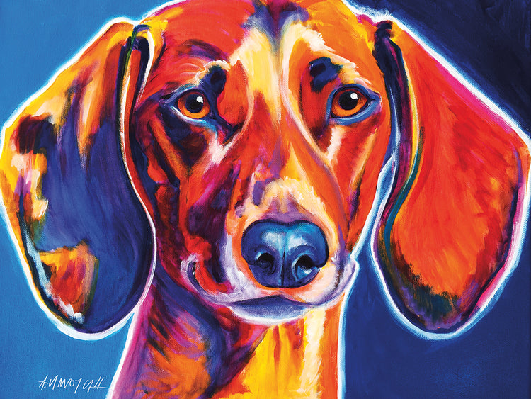 Dachshund - Bubbs Lienzo