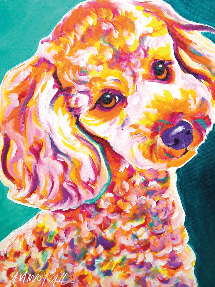 Caniche - Rizado Lienzo