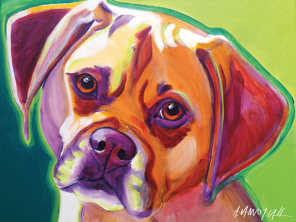 Puggle - Cooper