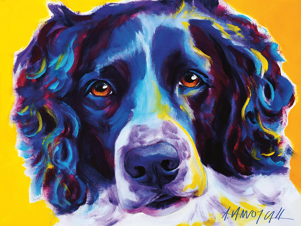 English Springer Spaniel Emma