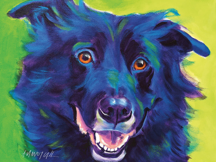 Border Collie - Viktor Lienzo