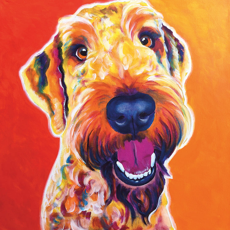 Airedoodle - Hank Lienzo