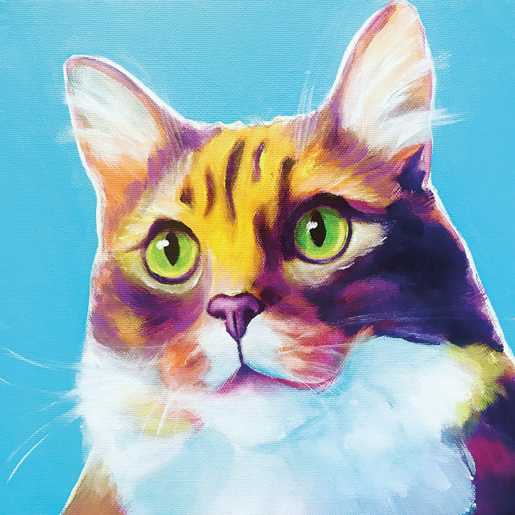 Gato - Sauce Lienzo