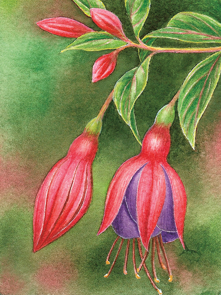 One Opened One Closed