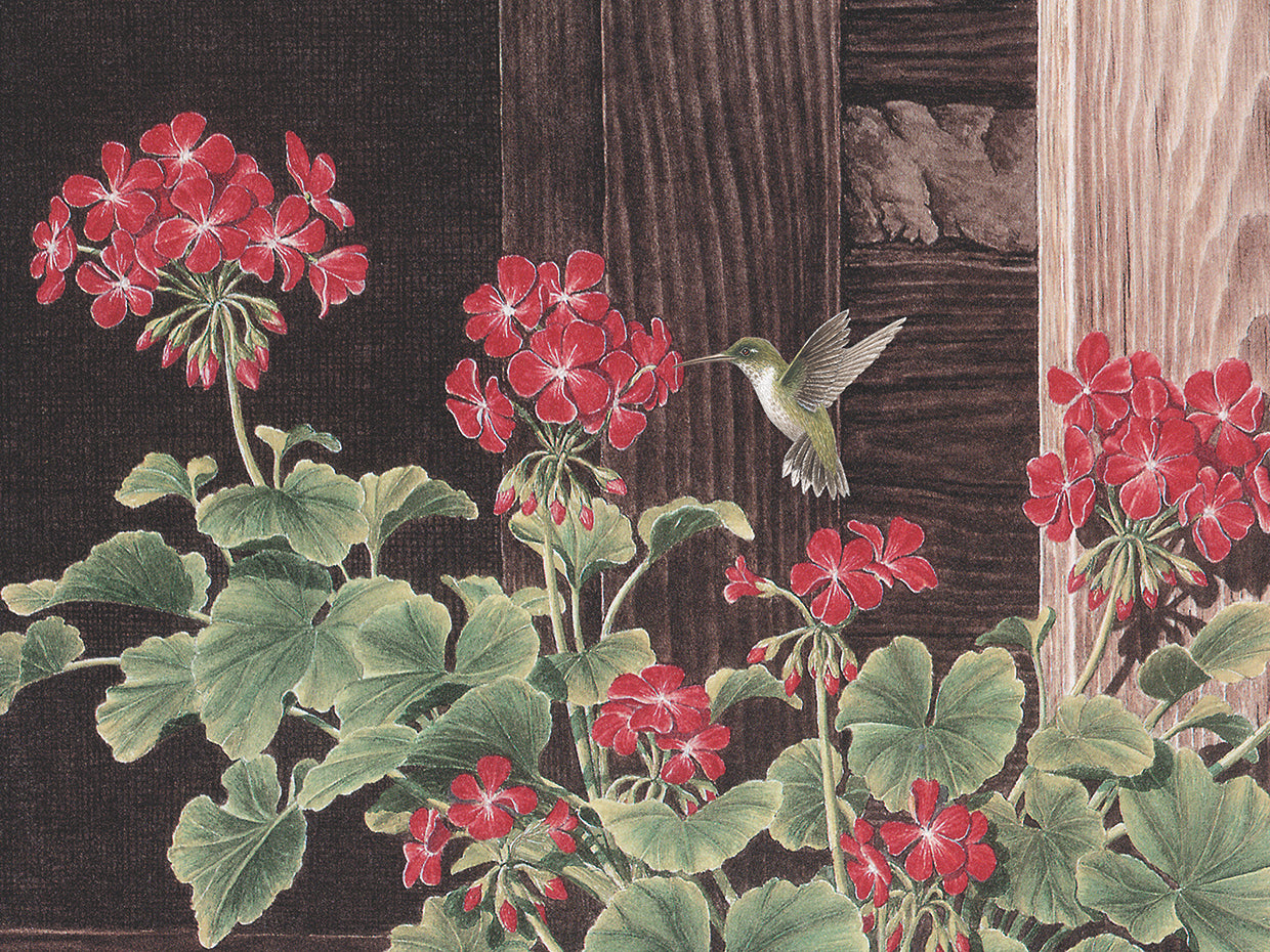 Summers Treat Detail