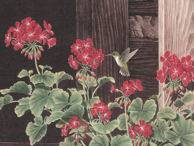 Summers Treat Detail