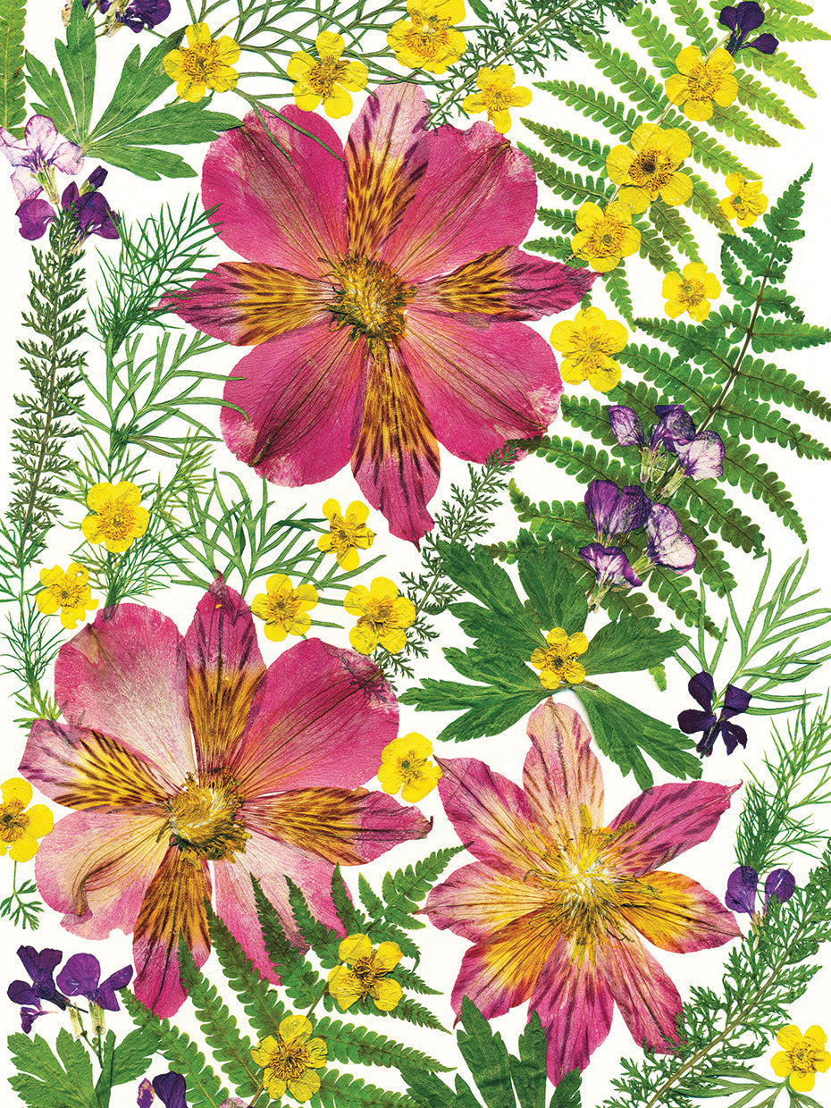 Dried Flowers 45