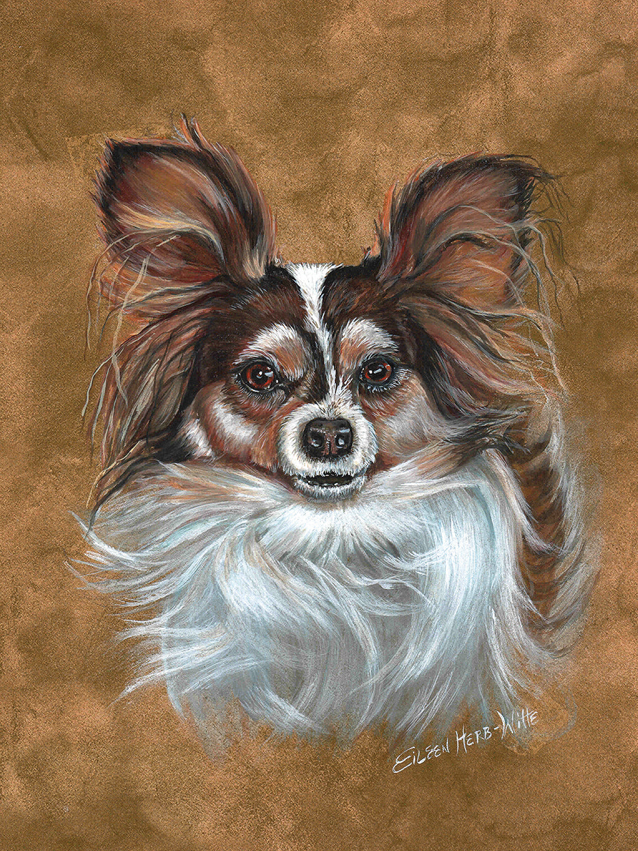 Gizzy Papillion Dog