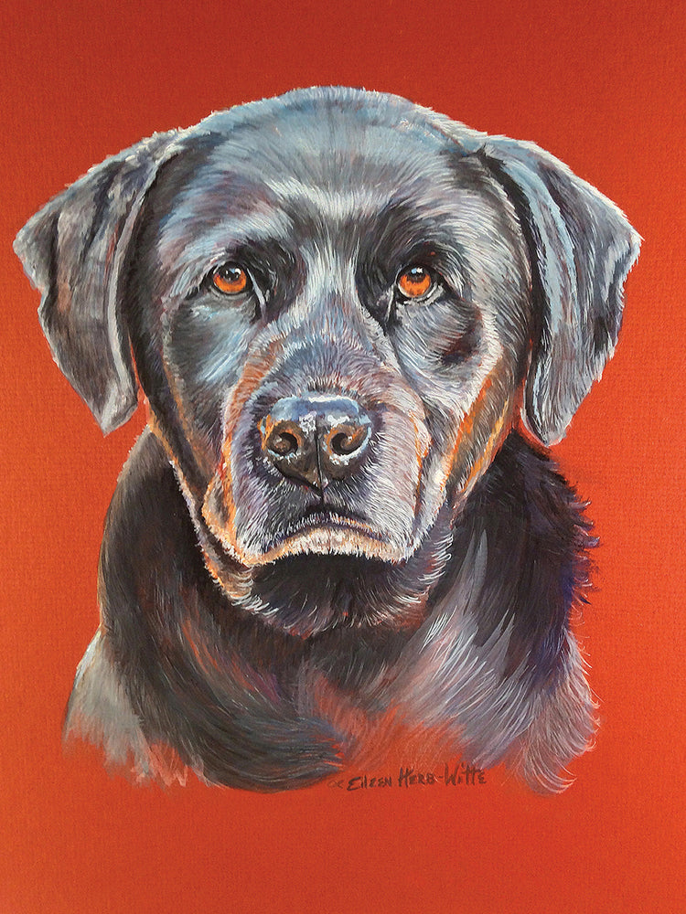 Maggie Black Lab Dog