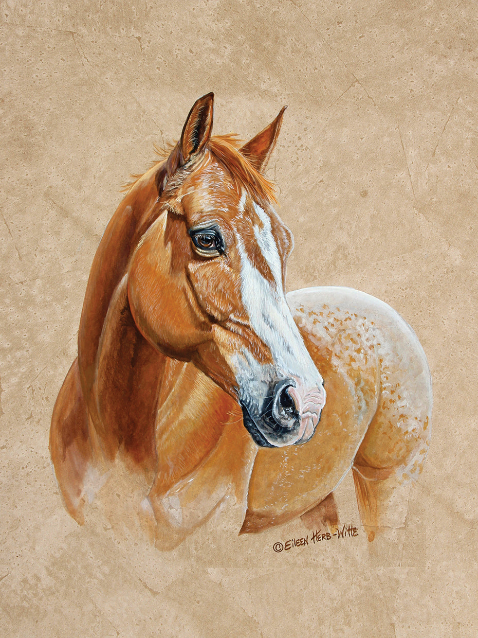 Ruger Horse