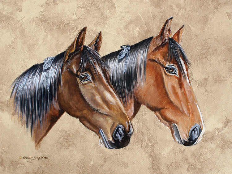 Sanders Horses Feathers