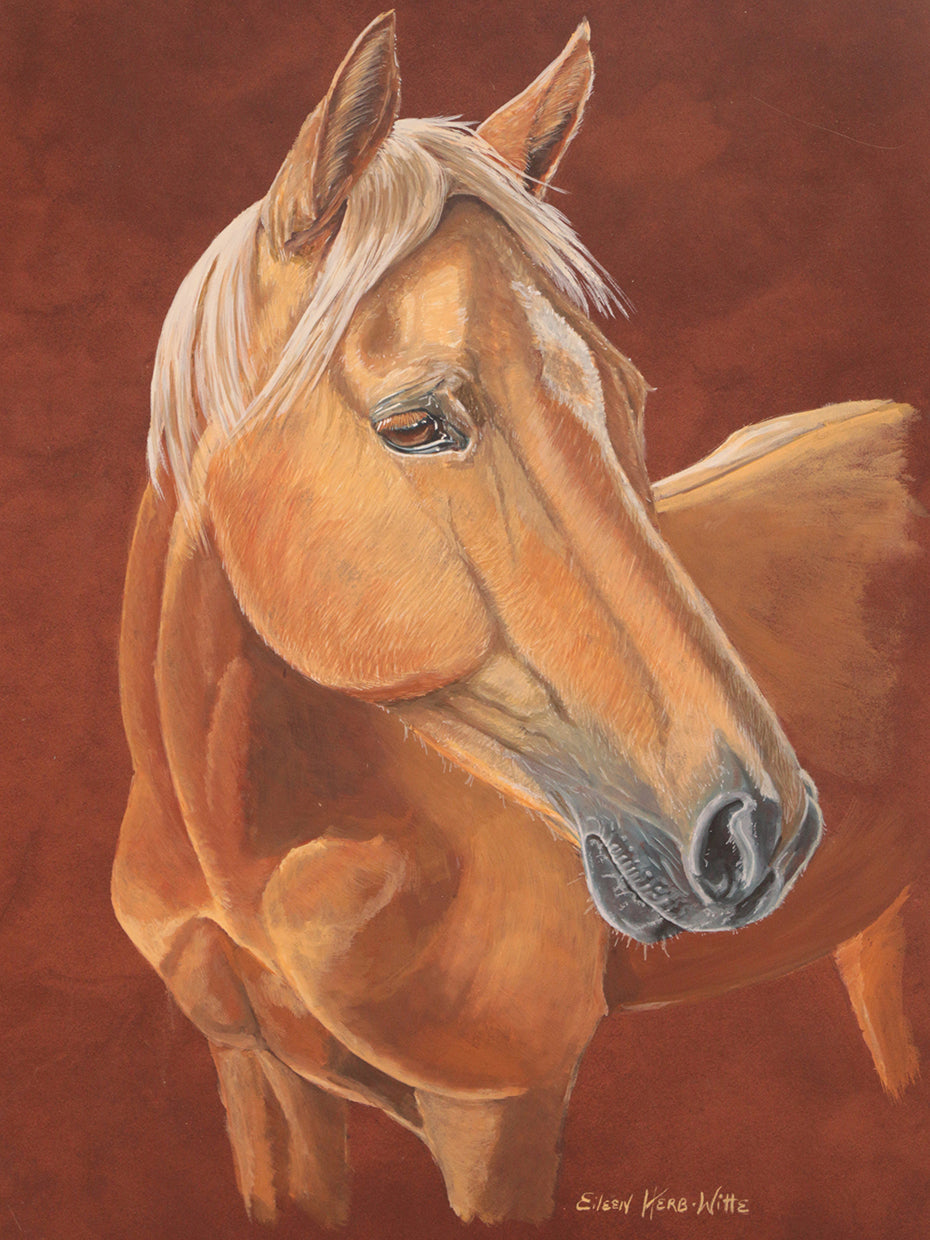 Sunkist Horse