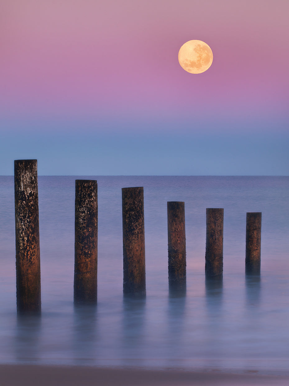 Moana Moon