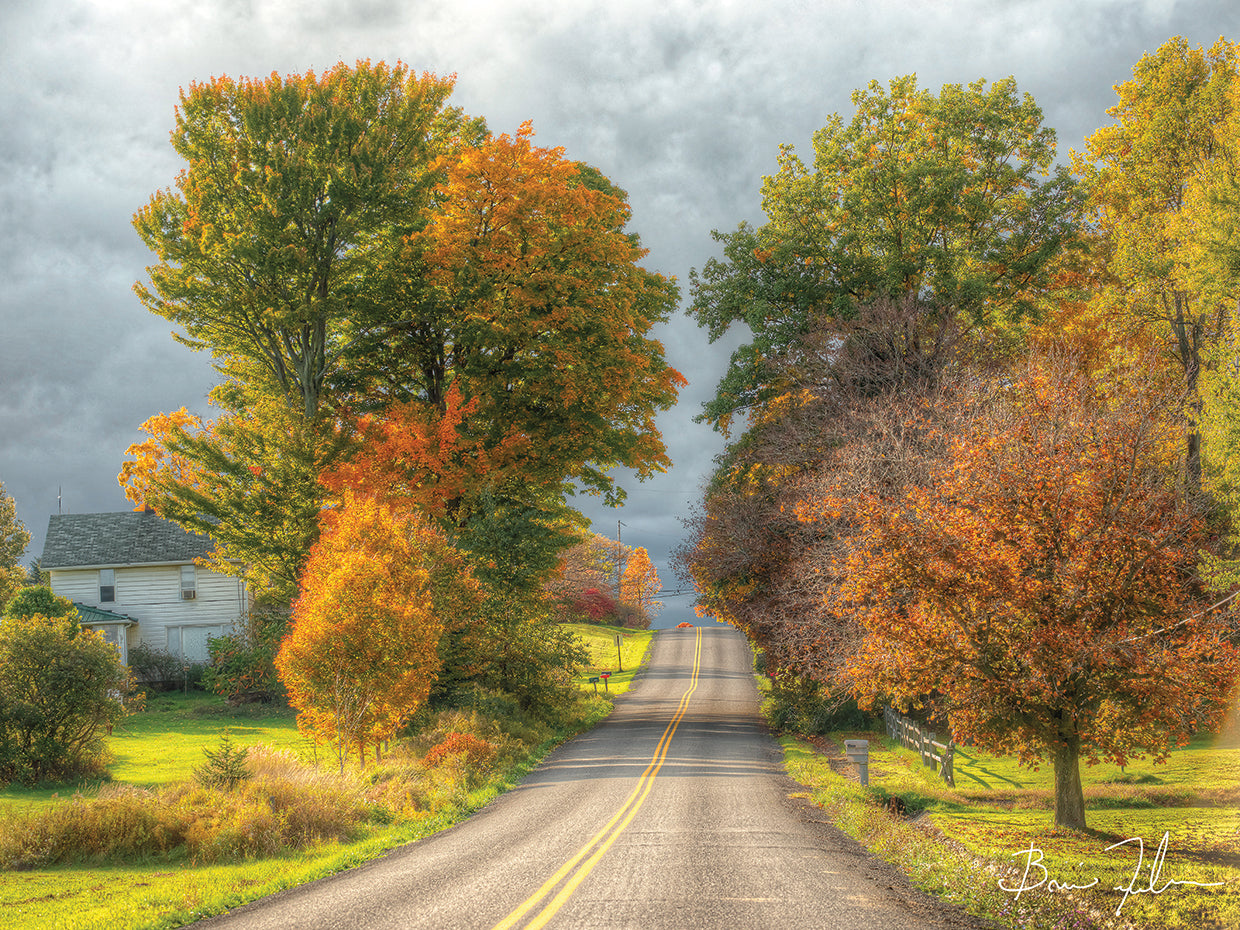 Autumn Road 2