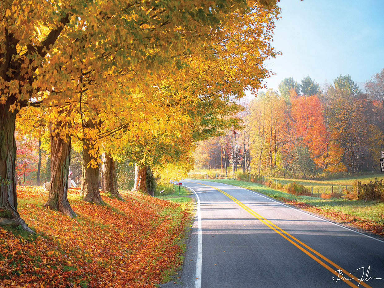 Autumn Road