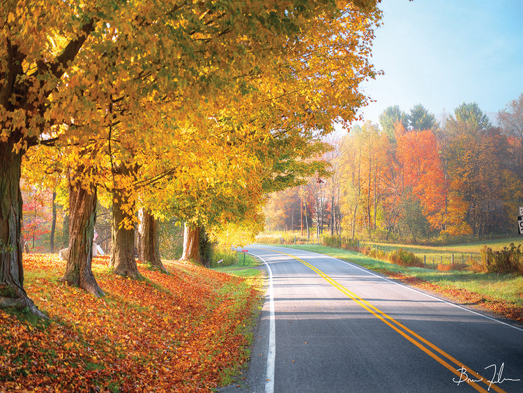 Autumn Road