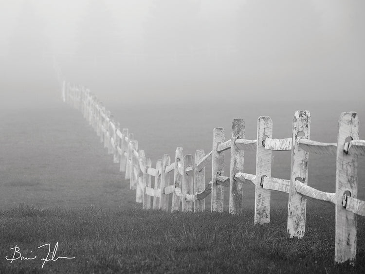 Fence In The Fog