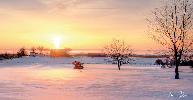 Sparkle Of The Morning Snow