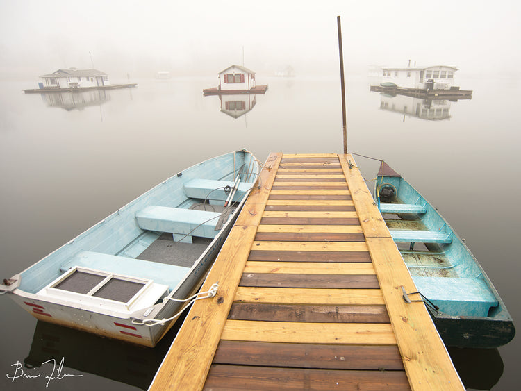 Under The Morning Fog