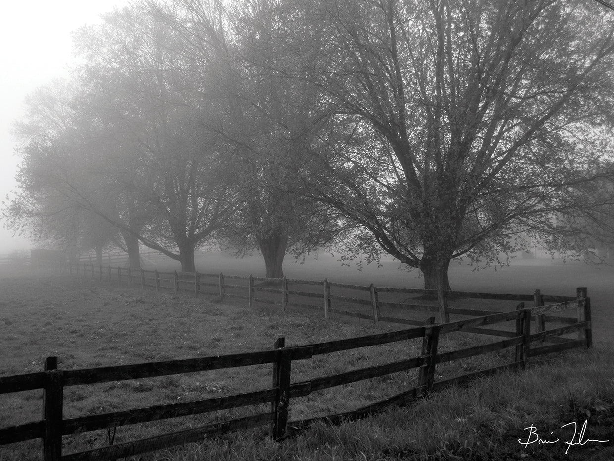 A Pennsylvania Morning