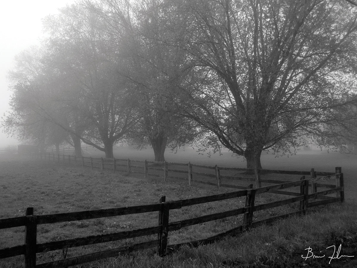 A Pennsylvania Morning