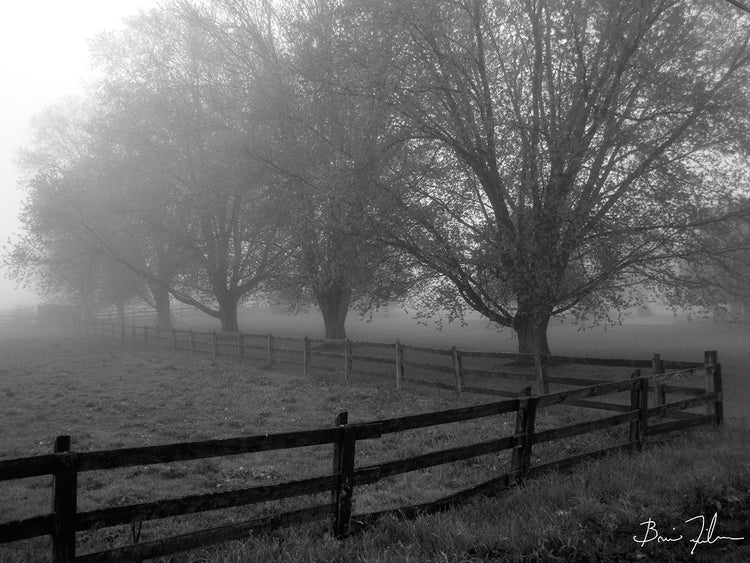A Pennsylvania Morning